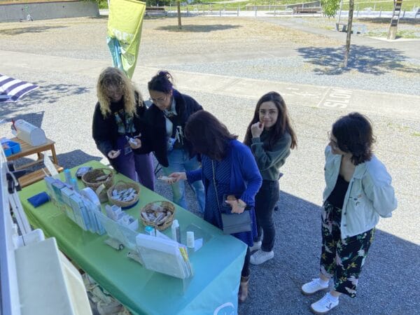 Participants receive free skin cancer education and sun protection samples.